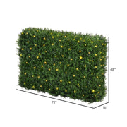 Vickerman TP201372LED 72
