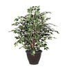 Vickerman TXX0240-RB 4' Artificial Variegated Ficus Extra Full Bush Brown Plastic Container.