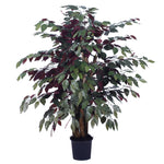 Vickerman TXX0340-06 4' Artificial Capensia Extra Full Bush Black Plastic Pot.