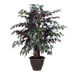 Vickerman TXX0340-RB 4' Artificial Capensia Extra Full Bush Brown Plastic Container.