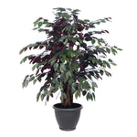 Vickerman TXX0340-RG 4' Artificial Capensia Extra Full Bush Gray Round Plastic Container.