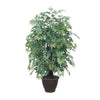 Vickerman TXX0640-RB 4' Artificial Ming Aralia Extra Full Bush Brown Plastic Container.