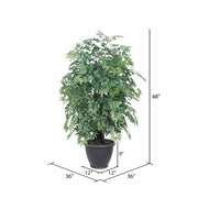 Vickerman TXX0640-RG 4' Artificial Ming Aralia Extra Full Bush Gray Round Plastic Container.
