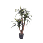 Vickerman TXX1140-06 4' Artificial Marginata Extra Full Bush Black Plastic Pot.