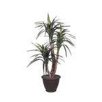 Vickerman TXX1140-RB 4' Artificial Marginata Extra Full Bush Brown Plastic Container.