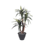 Vickerman TXX1140-RG 4' Artificial Marginata Extra Full Bush Gray Round Plastic Container.