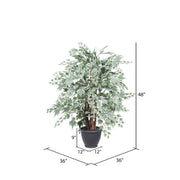 Vickerman TXX1640-RG 4' Artificial Silver Maple Extra Full Bush Gray Round Plastic Container.