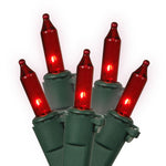 Vickerman W5G0553 50 Red Dura-Lit Light On Green Wire 23' Christmas Light Strand