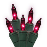 Vickerman W5G0556 50 Purple Dura-Lit Light On Green Wire 23' Christmas Light Strand