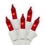 Vickerman W4W0503 50 Red Mini Light Set On White Wire 16' Christmas Light Strand In Polybag