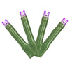 Vickerman X17G246 144 Purple LED Cluster Light Set 24' Christmas Light Set Green Wire