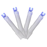 Vickerman X17W242 144 Blue LED Cluster Light Set 24' Christmas Light Set White Wire