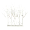 Vickerman X221535 30" White Birch Twig Tree Grove Warm White 3Mm Wide Angle LED Lights 5 Piece Set.