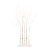 Vickerman X221540 4' White Birch Twig Tree Grove Warm White 3Mm Wide Angle LED Lights 5 Piece Set.