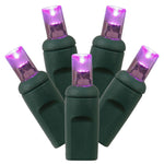 Vickerman X4G6106 34' Purple Single Mold Wide Angle LED Christmas Light Set Green Wire