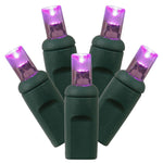 Vickerman X6G6806 200 Purple Wide Angle LED Light On Green Wire 100' Christmas Single Mold Light Strand