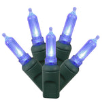 Vickerman X6G7502 50 Blue Italian LED Light On Green Wire 25' Christmas Single Mold Light Strand