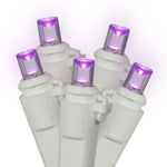 Vickerman X6W6506 50 Purple Wide Angle LED Light On White Wire 25' Christmas Single Mold Light Strand