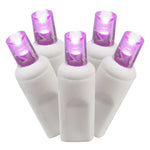 Vickerman X6W6106 100 Purple Wide Angle LED Light On White Wire 50' Christmas Single Mold Light Strand
