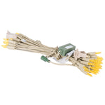 Vickerman X9LM533LED 50 LED Lime Dura-Lit Light On Tan Wire 37' Christmas Light Strand