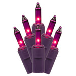Vickerman X9MV345LED 35 LED Mauve Dura-Lit Light On Mauve Wire 26' Christmas Light Strand