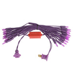 Vickerman X9PR506LED 50 LED Purple Dura-Lit Light On Purple Wire 37' Christmas Light Strand