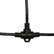 Vickerman XRGBTW01 12