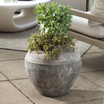 Weathered concrete plant pot