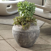 Weathered concrete plant pot