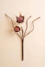 Kalalou Botanica Faux Floral Stem Branches Red Brown Fall Set of 6 - 27"H