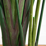 Nearly Natural 10' Artificial Travelers Palm Tree, Green Faux Tropical Palm with Detachable Fronds
