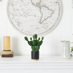 Small potted cactus on a white surface with a world map in the background