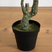 Artificial plant with twisted branches in a black pot on a wooden surface