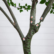 Nearly Natural Artificial Minimalist Citrus Tree with Natural Green Foliage, 10′