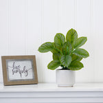 Potted plant on a white surface with a 'live simply' sign in the background
