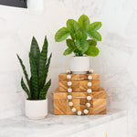 Two potted plants on a stack of wooden boxes with decorative beads against a white marble background.