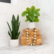 Two potted plants on a stack of wooden boxes with decorative beads against a white marble background.