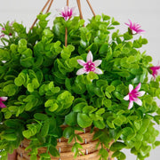 Artificial lily blooms and eucalyptus greenery in a woven hanging basket