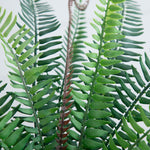 Green Fern Frond Arrangement