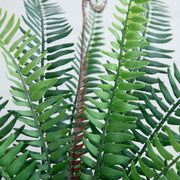 Green Fern Frond Arrangement