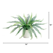 Decorative Boston Fern Accent