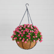 Pink faux mini roses with green aptenia foliage in a coconut-lined hanging basket