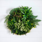 Gold Frame Living Wall