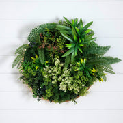 Gold Frame Living Wall
