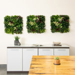 Tropical Fern Wall Decor