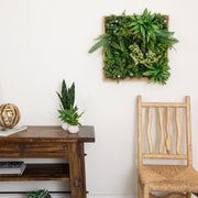 Nearly Natural Queensland Rainforest Artificial Floral Living Wall with Wood-Look Frame, Green, 20″ × 20″