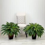 Nearly Natural Artificial Boston Fern Plants, Set of 2, Green Faux Foliage in Bronze Pots