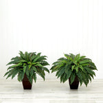 2-Piece Faux Boston Fern Set, 23