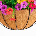 Multicolor daisy hanging plant kit with greenery and decorative moss
