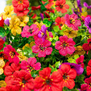 UV-resistant faux daisy flowers in a coco-lined hanging basket